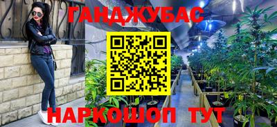 стаф Гагарин